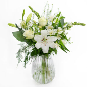 Weiße Wiesenblumen Weiße Wiesenblumen